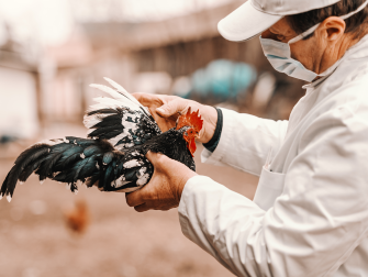 AdobeStock_272613329.png